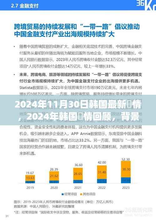 韩国酸情回顾,背景、重要事件与影响,展望2024年最新酸情发展