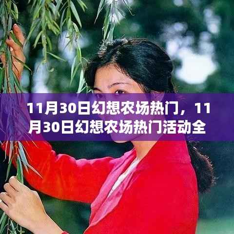 11月30日幻想农场热门活动全景解析与体验