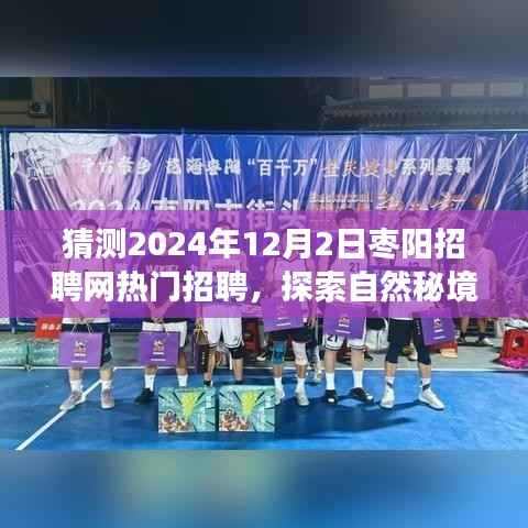 枣阳招聘网热门职位预测之旅,探索自然秘境,追寻内心平静之旅(2024年预测)