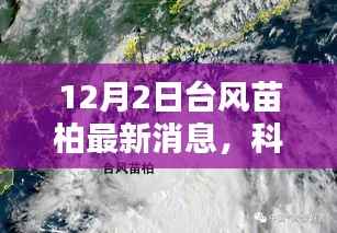 台风苗柏带动科技革新，智能生活体验报告——最新高科技产品亮相报告