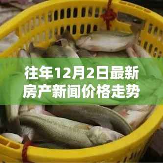 往年12月2日房产新闻深度解析,最新价格走势与动态报告
