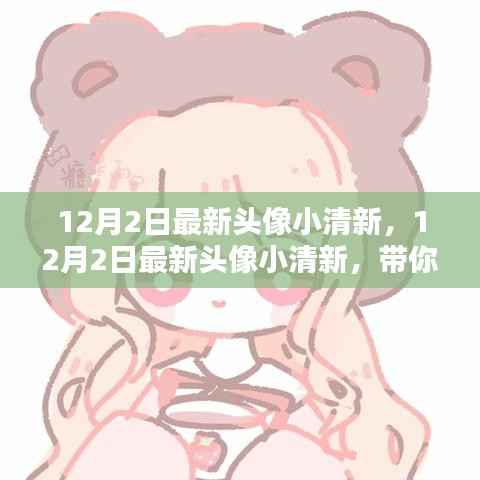 12月最新小清新头像,冬日温暖中的清新之美