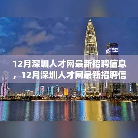 12月深圳人才网最新招聘信息,职场人的黄金机遇大揭秘