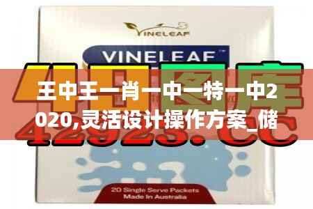 王中王一肖一中一特一中2020,灵活设计操作方案_储蓄版36.501