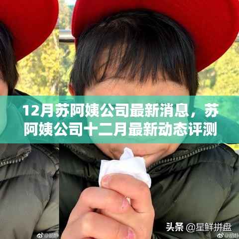 苏阿姨公司十二月最新动态评测与深度介绍,最新消息和深度分析