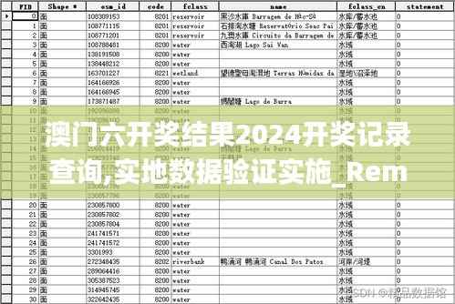 澳门六开奖结果2024开奖记录查询,实地数据验证实施_RemixOS1.811