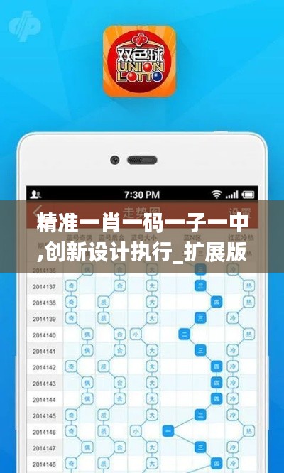 精准一肖一码一子一中,创新设计执行_扩展版9.510