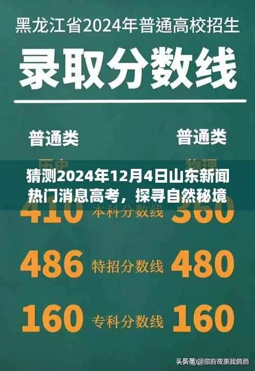 探寻自然秘境,预测山东高考新闻热点,高考前夕的洗涤心灵之旅,山东高考最新动态解析(2024年)
