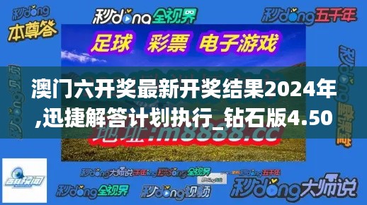 澳门六开奖最新开奖结果2024年,迅捷解答计划执行_钻石版4.501