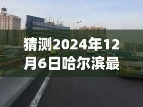 哈尔滨未来车祸实录，揭秘2024年12月6日意外现场