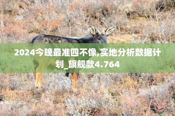 2024今晚最准四不像,实地分析数据计划_旗舰款4.764
