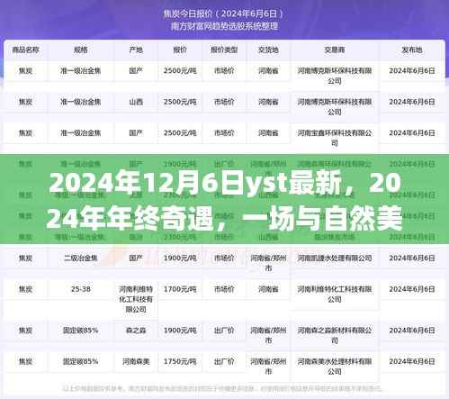 2024年终奇遇,与自然美景的不期而遇之旅