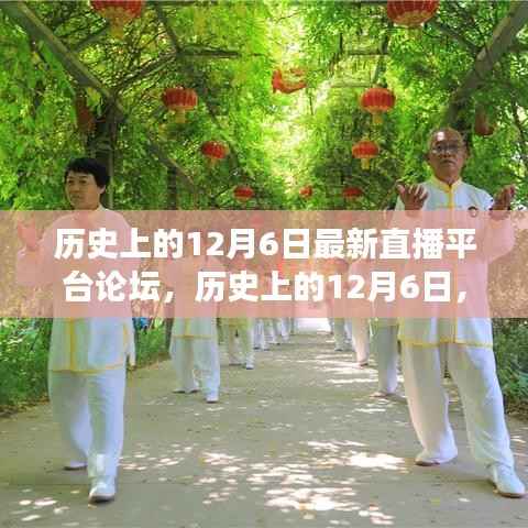 历史上的12月6日,探寻自然美景的直播之旅,启程寻找内心的宁静与平和论坛直播新平台发布