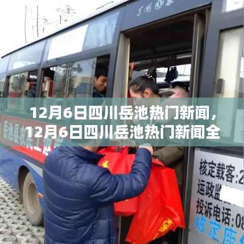 12月6日四川岳池热门新闻全方位测评与介绍