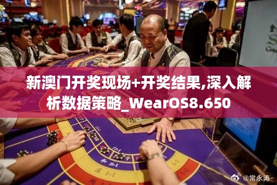 新澳门开奖现场+开奖结果,深入解析数据策略_WearOS8.650