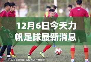 力帆足球队变革新动向,最新观察分析(12月6日)