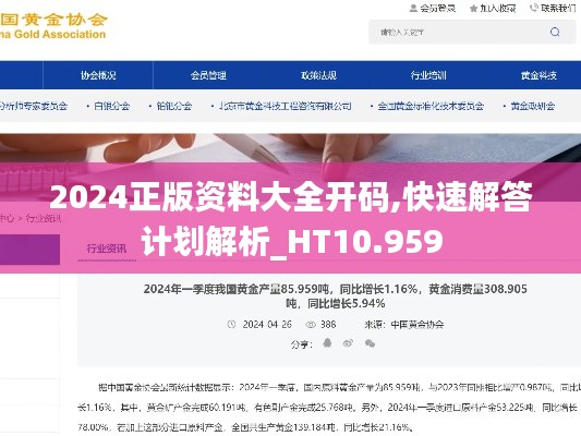 2024正版资料大全开码,快速解答计划解析_HT10.959
