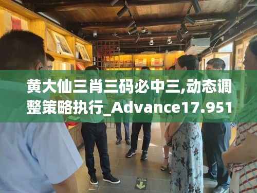 黄大仙三肖三码必中三,动态调整策略执行_Advance17.951