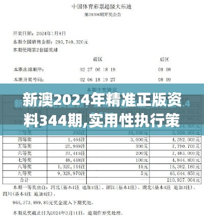 新澳2024年精准正版资料344期,实用性执行策略讲解_WP12.383