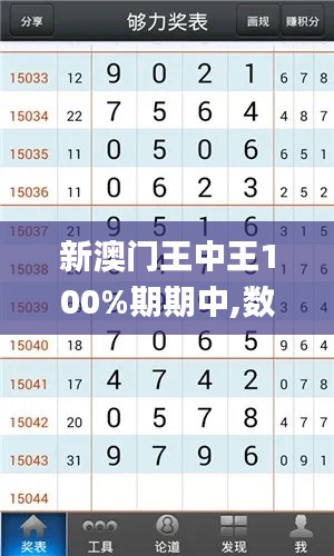 新澳门王中王100%期期中,数据实施整合方案_Nexus7.732