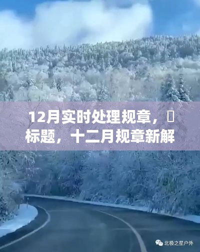 十二月实时处理规章,与自然美景共舞的心灵宁静探寻新解