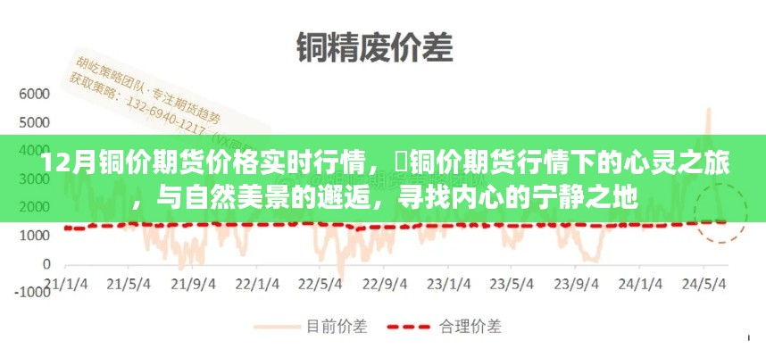 铜价期货实时行情下的心灵与自然之旅，寻找内心的宁静之地