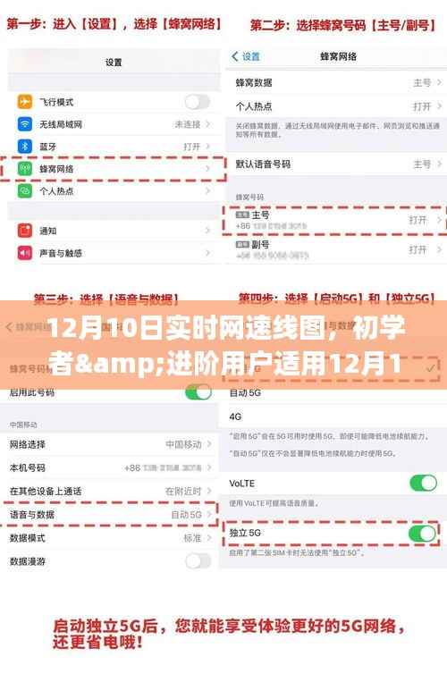 12月10日实时网速线图制作指南,适合初学者与进阶用户的详细步骤