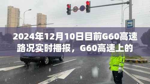 G60高速实时路况播报,温情时光下的奇妙旅程