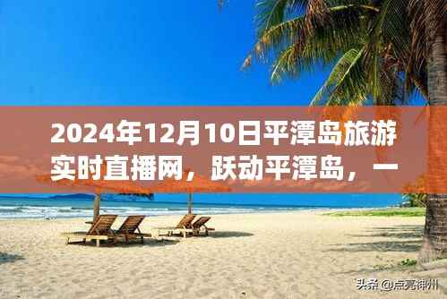 跃动平潭岛,励志之旅与实时直播启航,2024年12月10日直播盛况在线分享