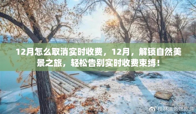 12月取消实时收费指南,解锁自然美景之旅,畅享无忧