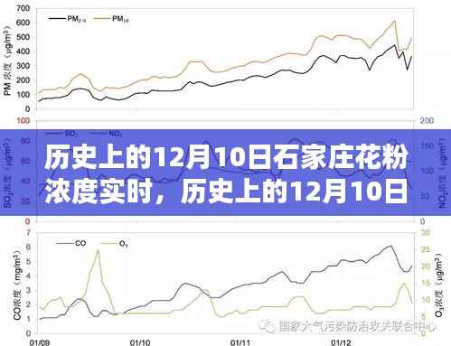 历史上的12月10日石家庄花粉浓度实时数据分析报告