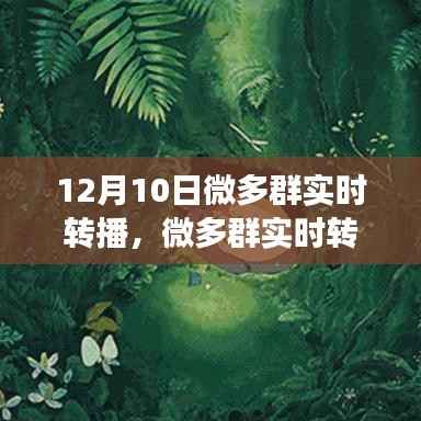 微多群实时转播,视听盛宴的魅力和影响力