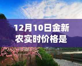 金新农实时价格揭秘,探索自然美景之旅的心灵启示