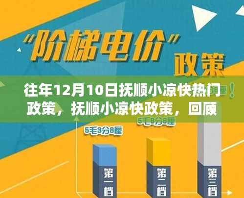 往年12月10日抚顺小凉快政策的回顾与影响,热门政策解读及影响分析