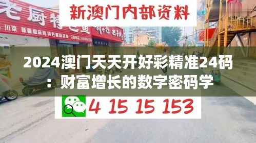 2024澳门天天开好彩精准24码:财富增长的数字密码学