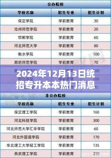 揭秘2024年统招专升本热门资讯,最新更新与动态速递
