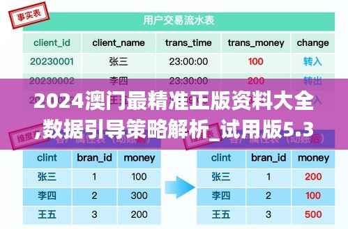 2024澳门最精准正版资料大全,数据引导策略解析_试用版5.363