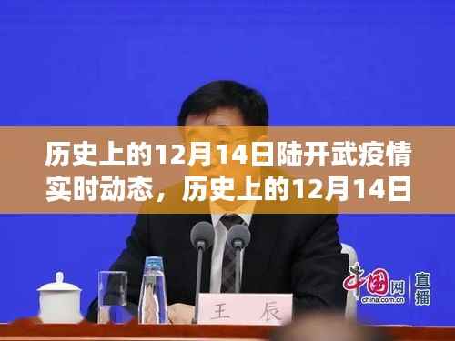 历史上的陆开武疫情动态,多元观点下的探讨与影响