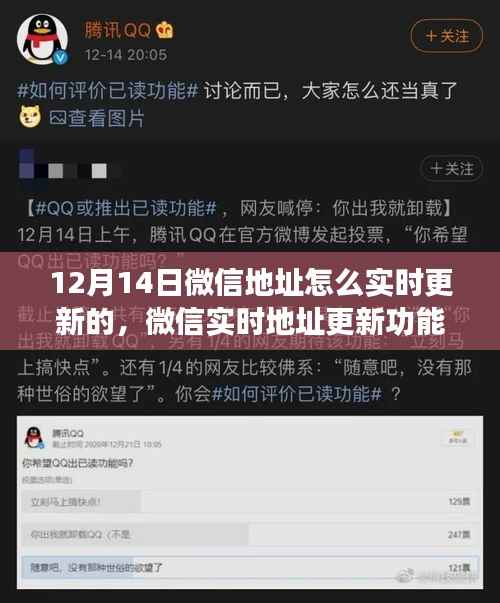 微信实时地址更新功能测评，用户体验与竞品对比，12月14日微信地址更新指南