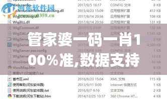 管家婆一码一肖100%准,数据支持设计解析_10DM11.342