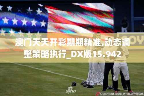 澳门天天开彩期期精准,动态调整策略执行_DX版15.942