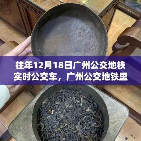 广州公交地铁日常,奇遇般的温馨时光(12月18日纪实)