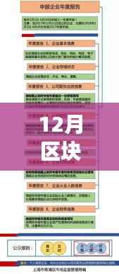 重塑企业发票管理未来,12月区块链实时发票数据库