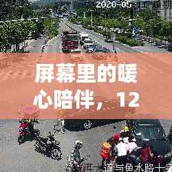 手机屏幕上的暖心陪伴,日常实时监控纪实 12月18日