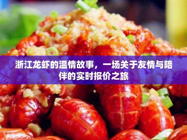 浙江龙虾的友情与陪伴,实时报价的温情之旅