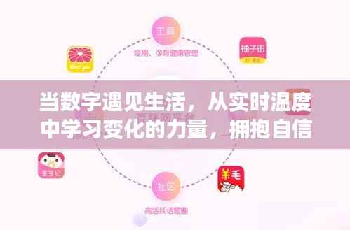 数字生活,从实时温度洞察变化之力,开启自信与成就之旅