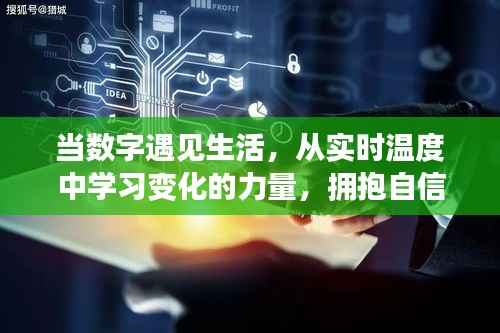数字生活,从实时温度洞察变化之力,开启自信与成就之旅