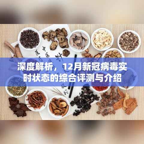 深度解析,12月新冠病毒实时状态综合评测与最新动态