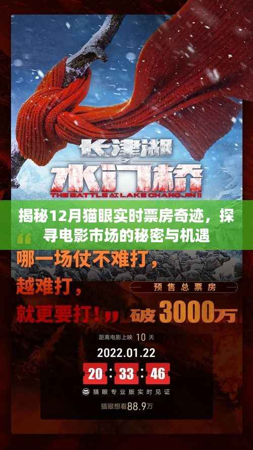 揭秘电影市场秘密与机遇,猫眼实时票房奇迹背后的故事(12月篇)