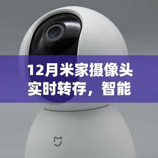 行将就木 第3页